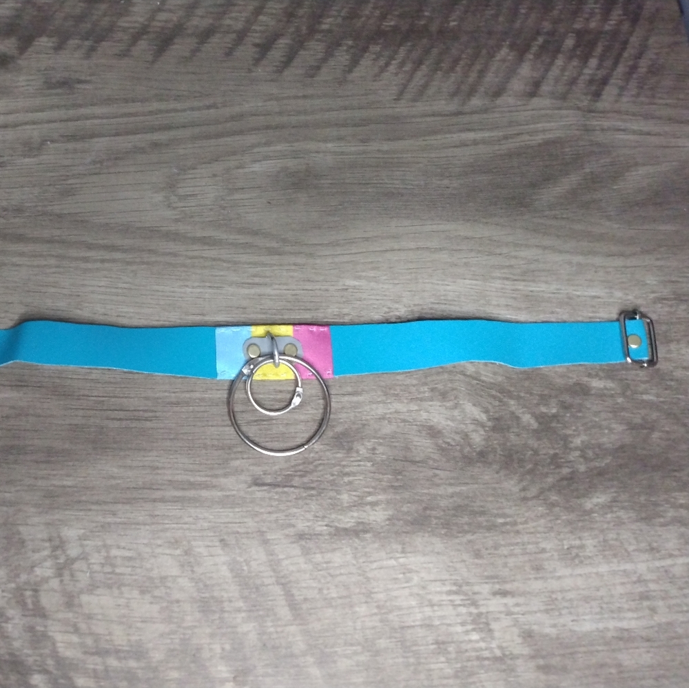 Artisan Pansexual Pride Ring Choker